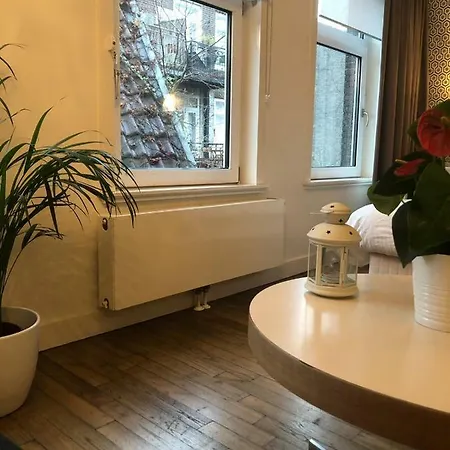 Tulips In The Heart Of 阿姆斯特丹